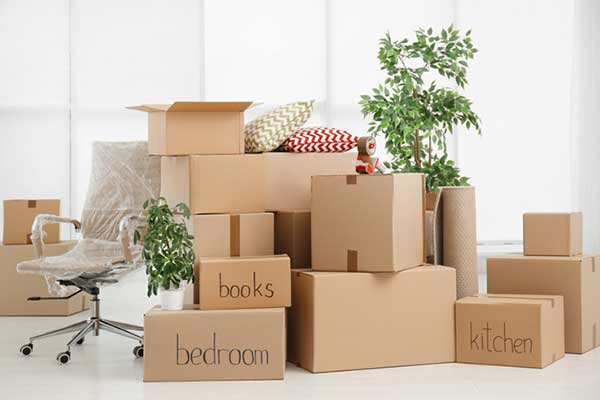 Moving House In South Florida Best Moving Company In Davie Florida Moving House In South Florida Best Moving Company In Davie Florida